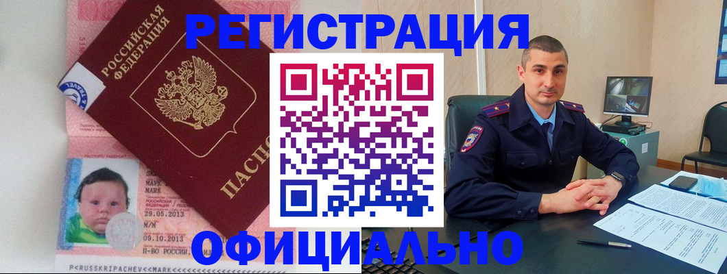 прописка поиск в Бердске